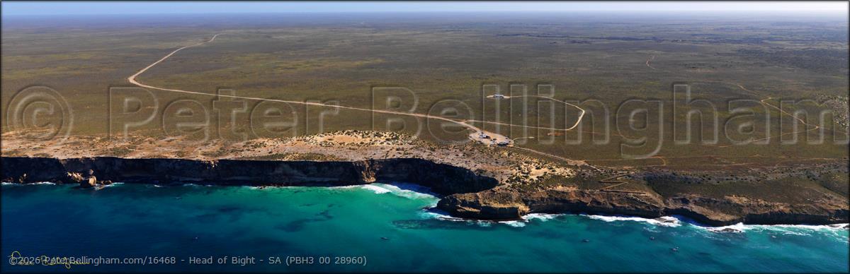 Peter Bellingham Photography Head of Bight - SA (PBH3 00 28960)